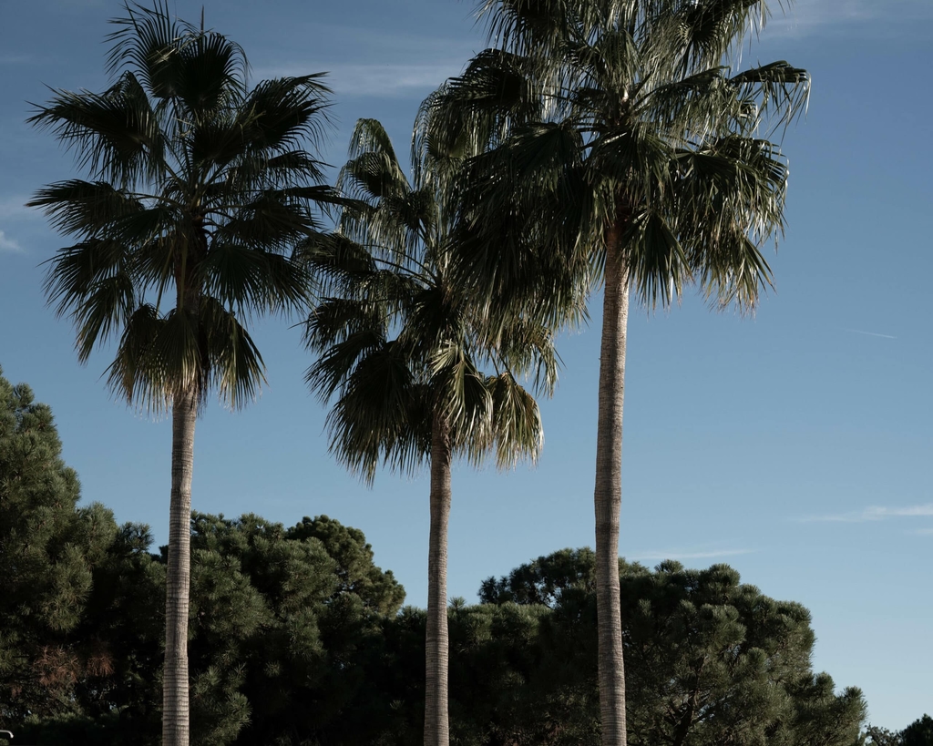 Ready to sell in Marbella?